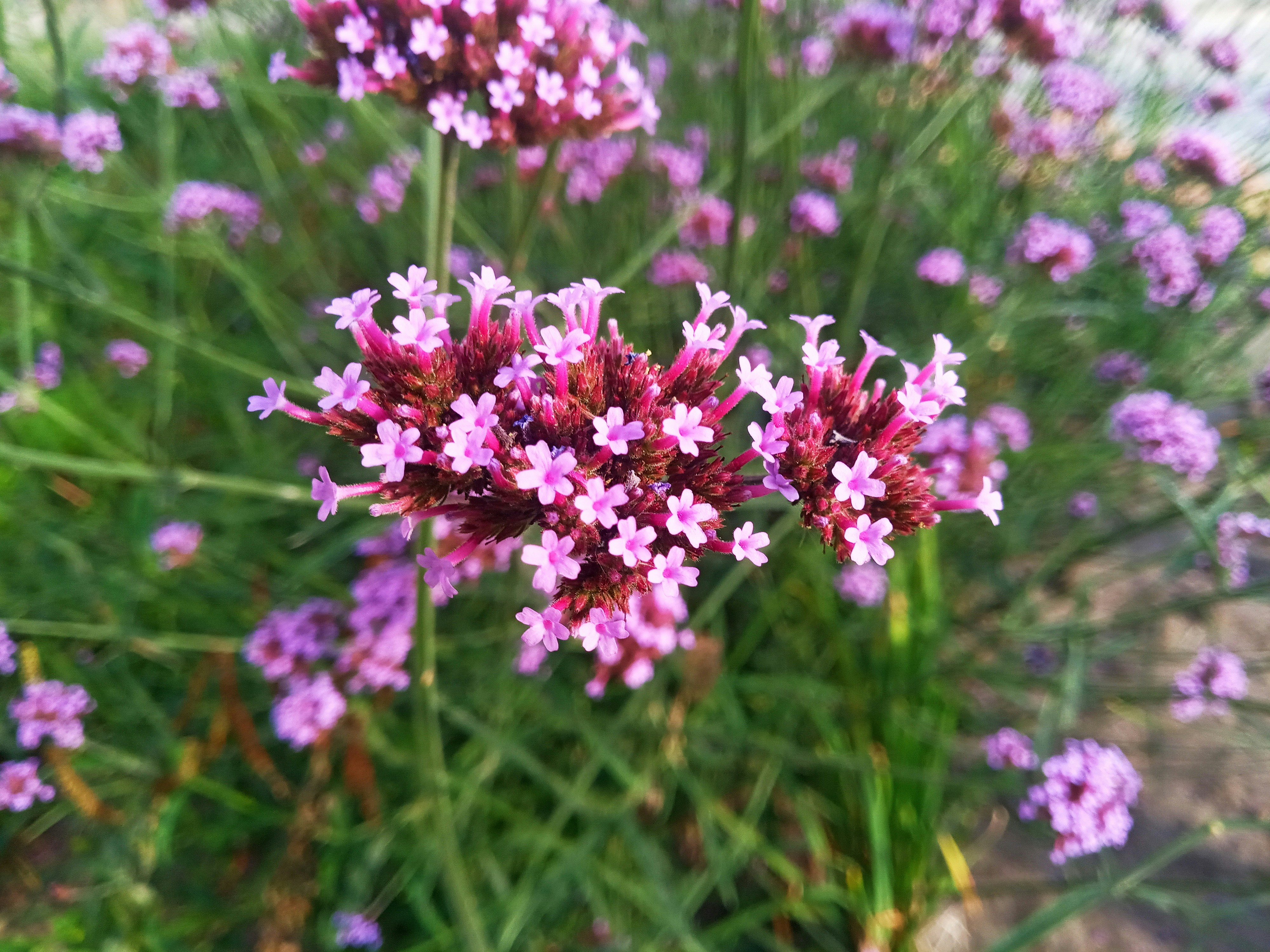 Photo by dmitry_burdakov