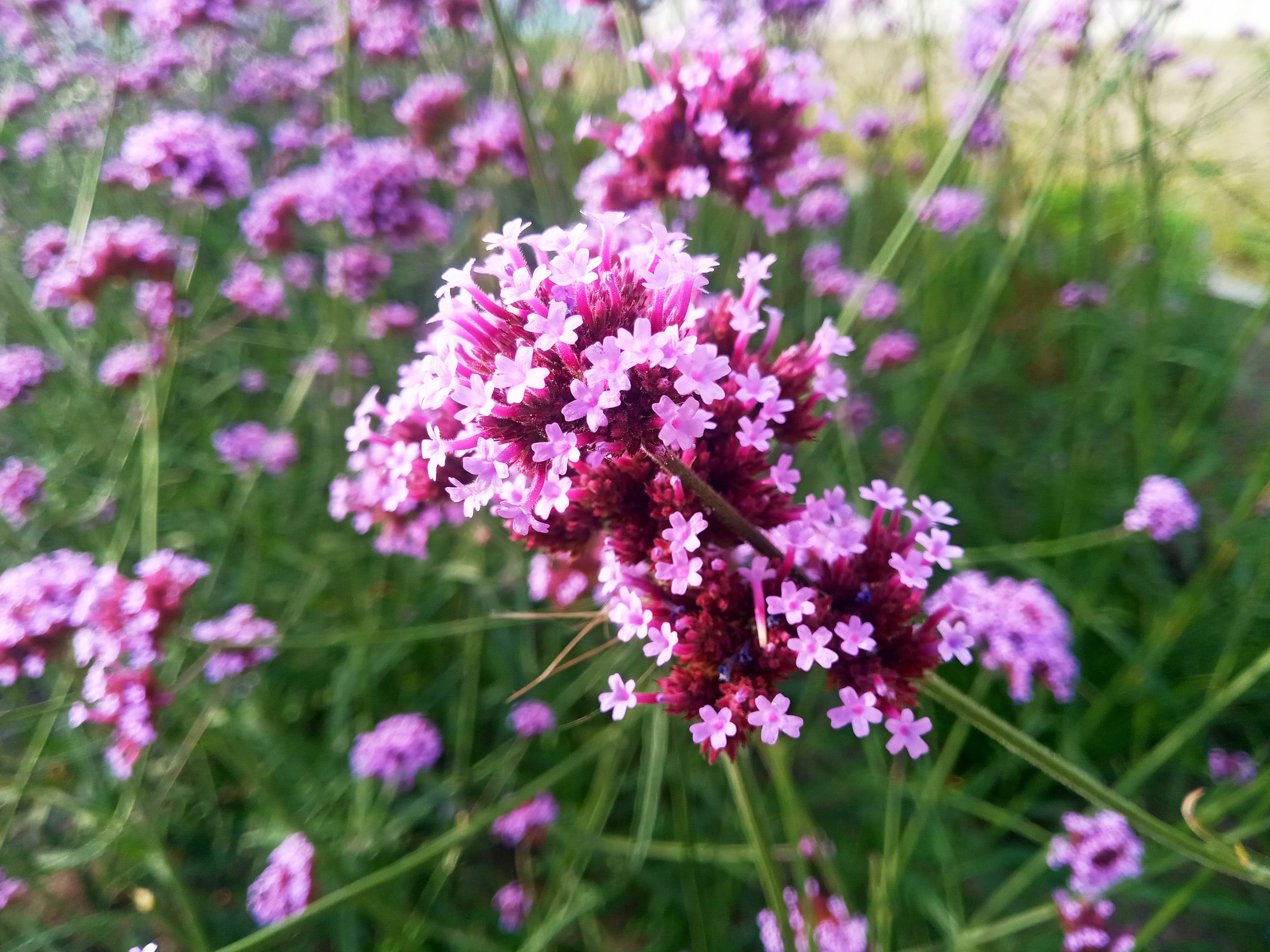 Photo by dmitry_burdakov