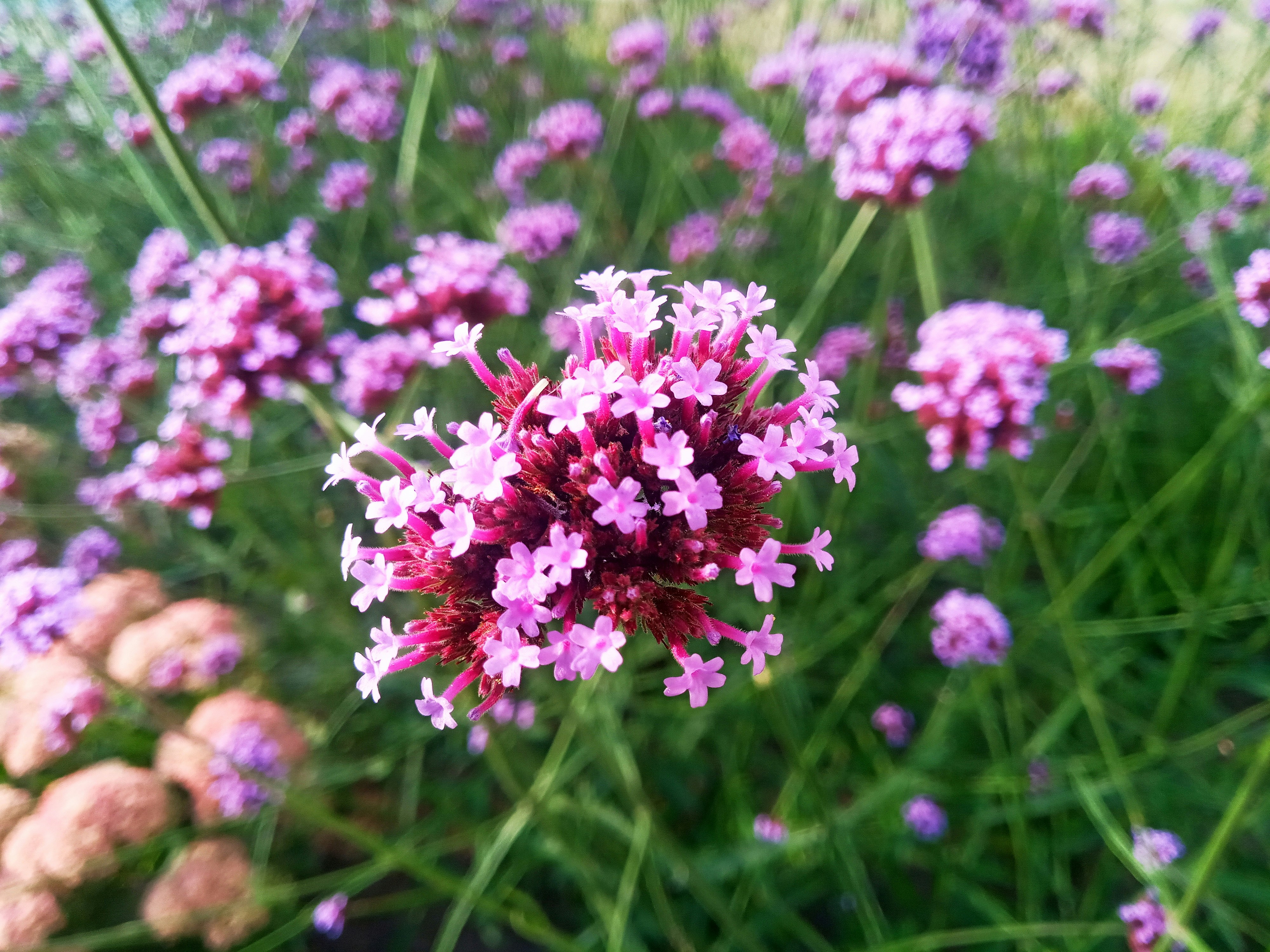 Photo by dmitry_burdakov