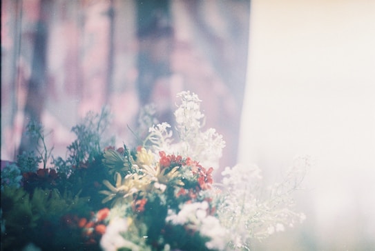 A soft-focus image featuring a lush arrangement of various flowers with delicate petals and rich greenery. The scene is bathed in a gentle, diffused light, creating a dreamy atmosphere. The colors range from vibrant reds and yellows to pastel pinks and whites, with a blurred background that enhances the ethereal quality.