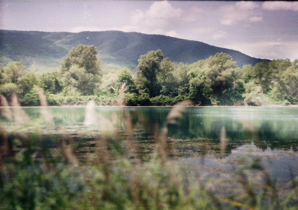 a body of water surrounded by trees and mountains