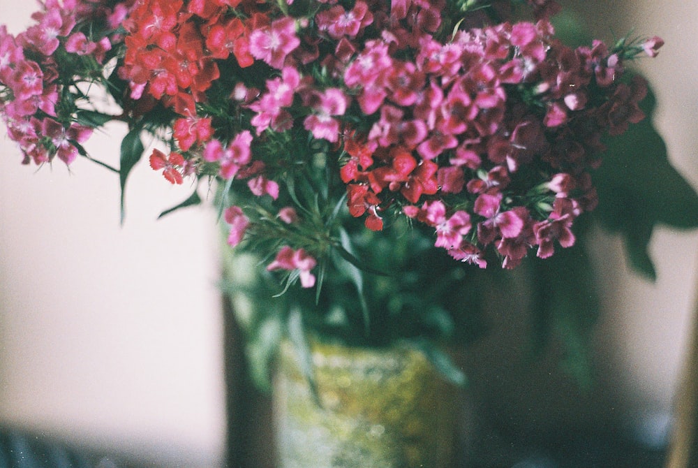 a vase filled with pink and red flowers