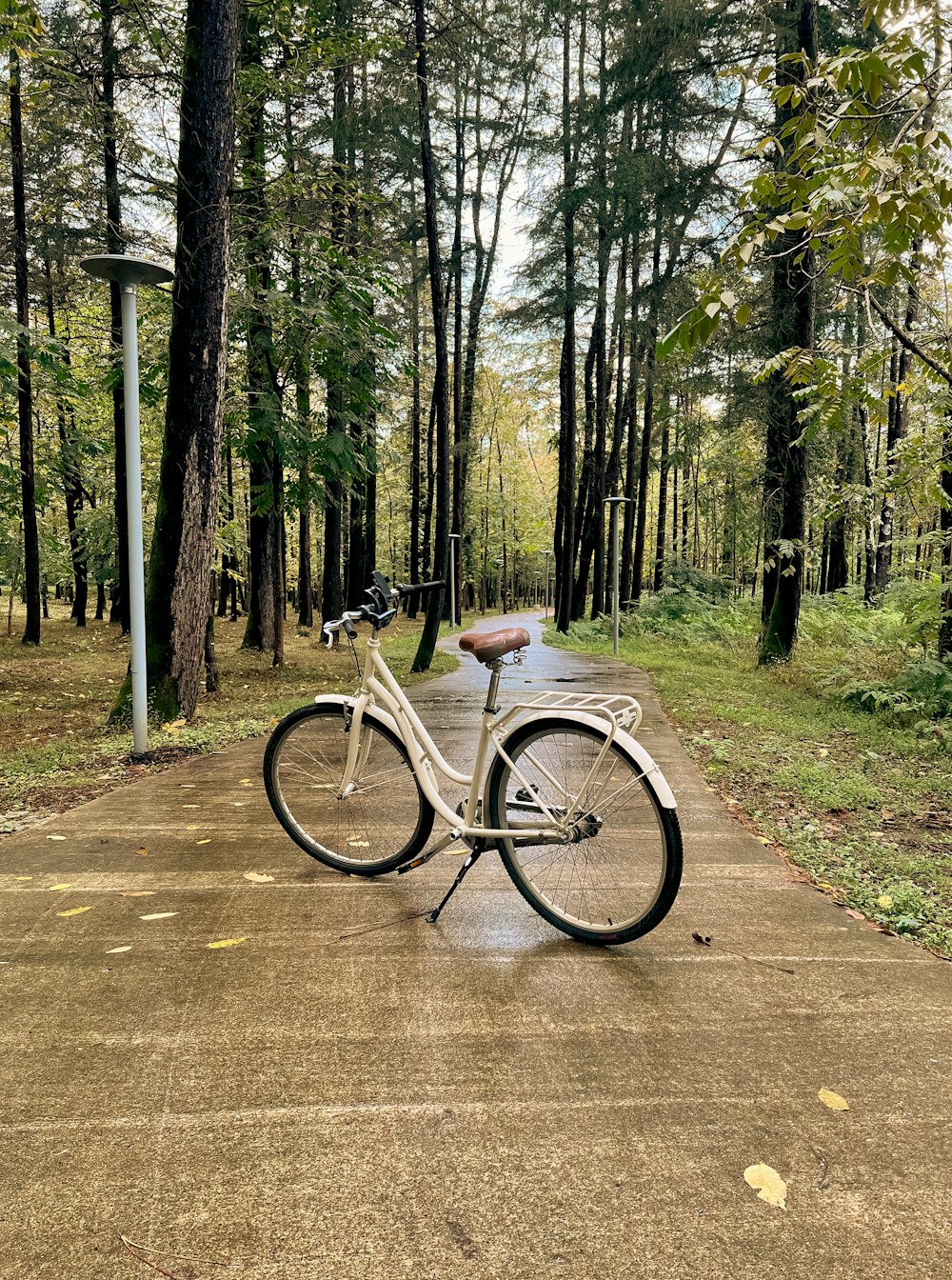 Un vélo est garé sur le bord de la route