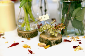 Glass vials filled with tiny seeds, arranged neatly on a wooden table surrounded by plant leaves.
