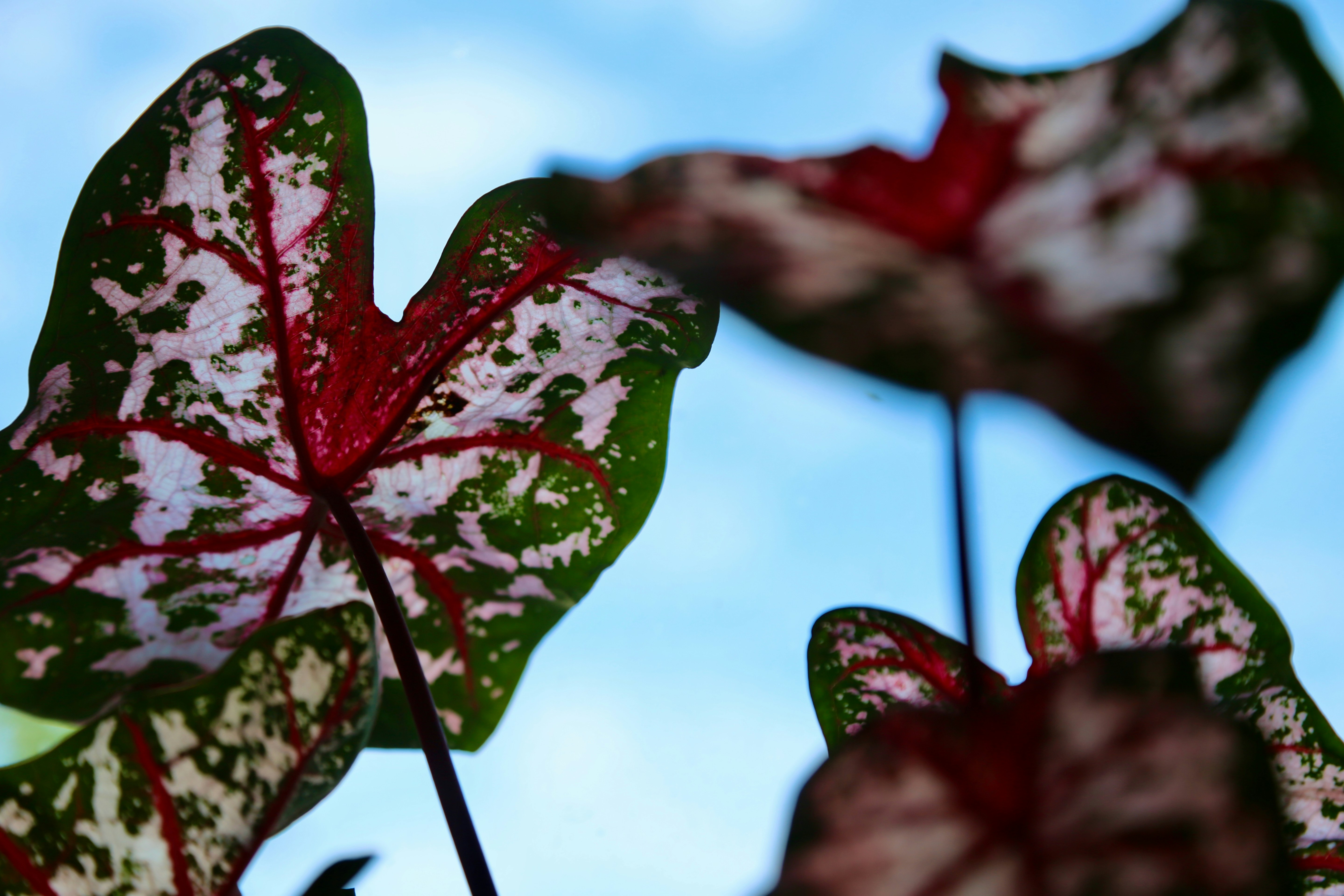 Photo by garthphotography