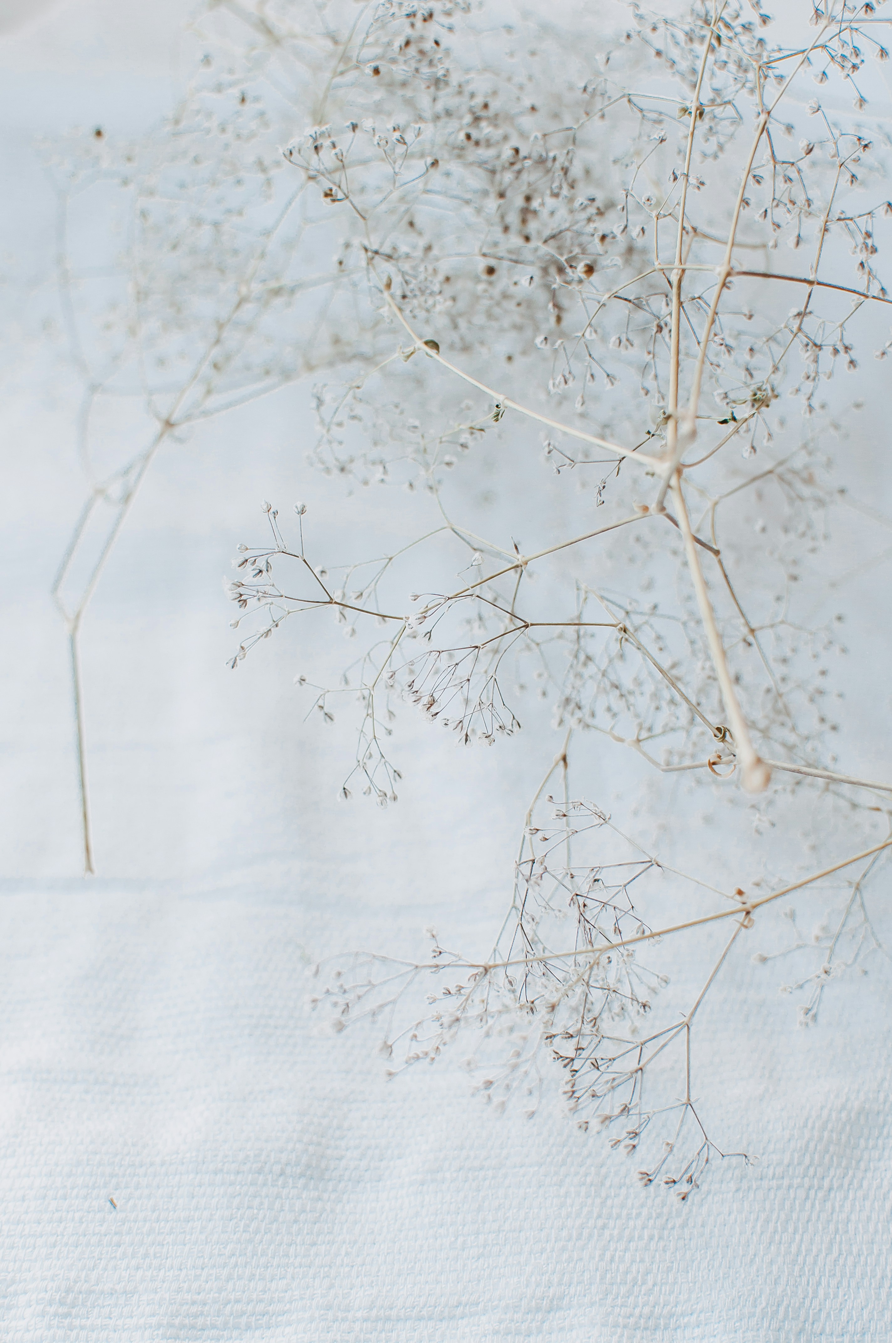 Photo by milli_und_gold