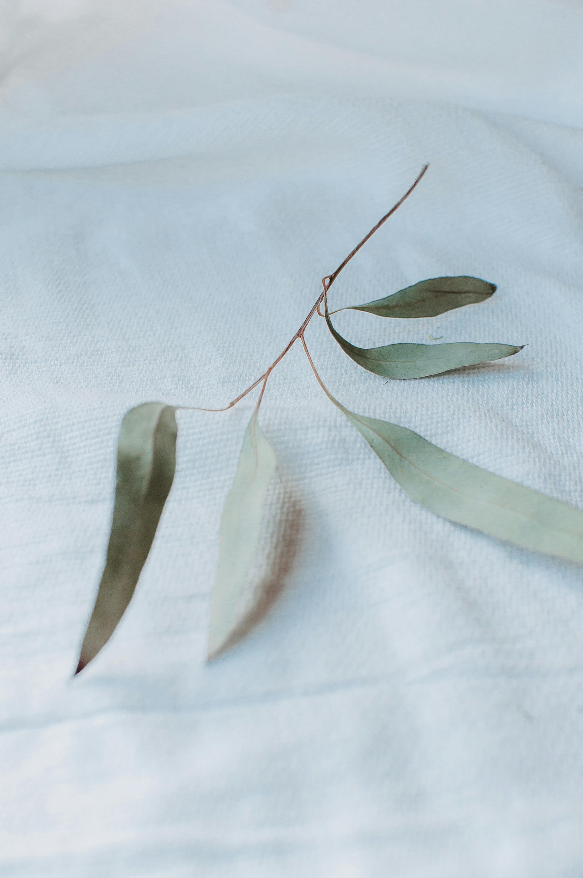 gray computer monitor