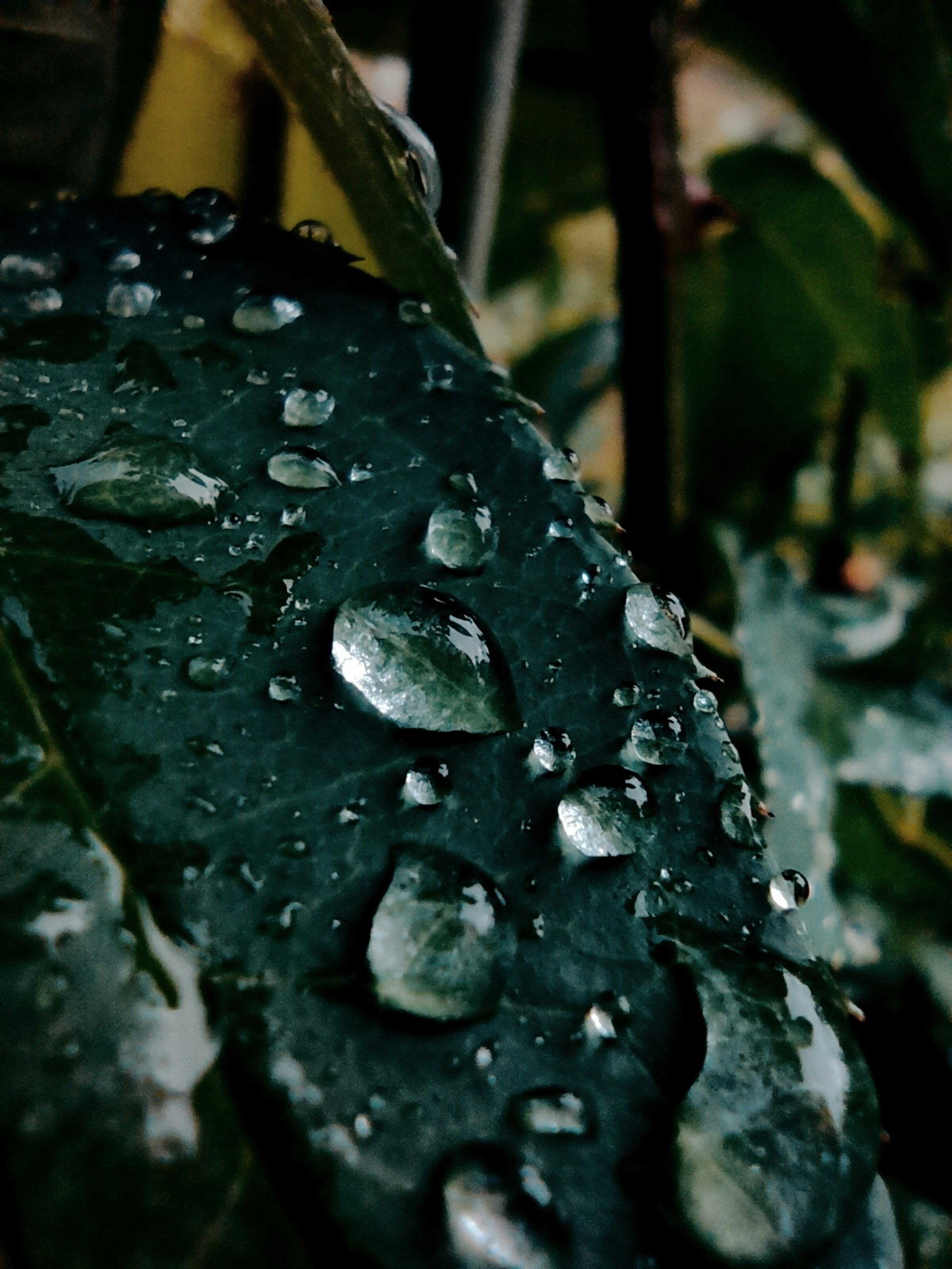 Photo by aditidudalkar