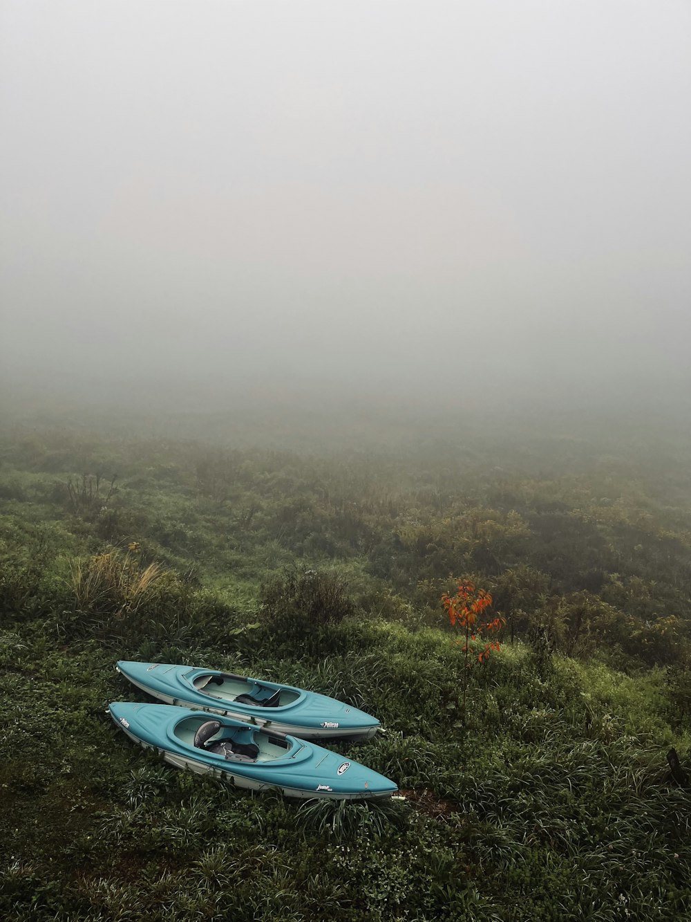 two blue kayaks sitting on top of a lush green field