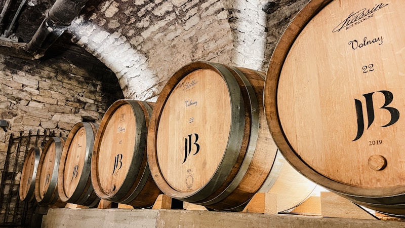 Degustazione di vini biodinamici in cantina