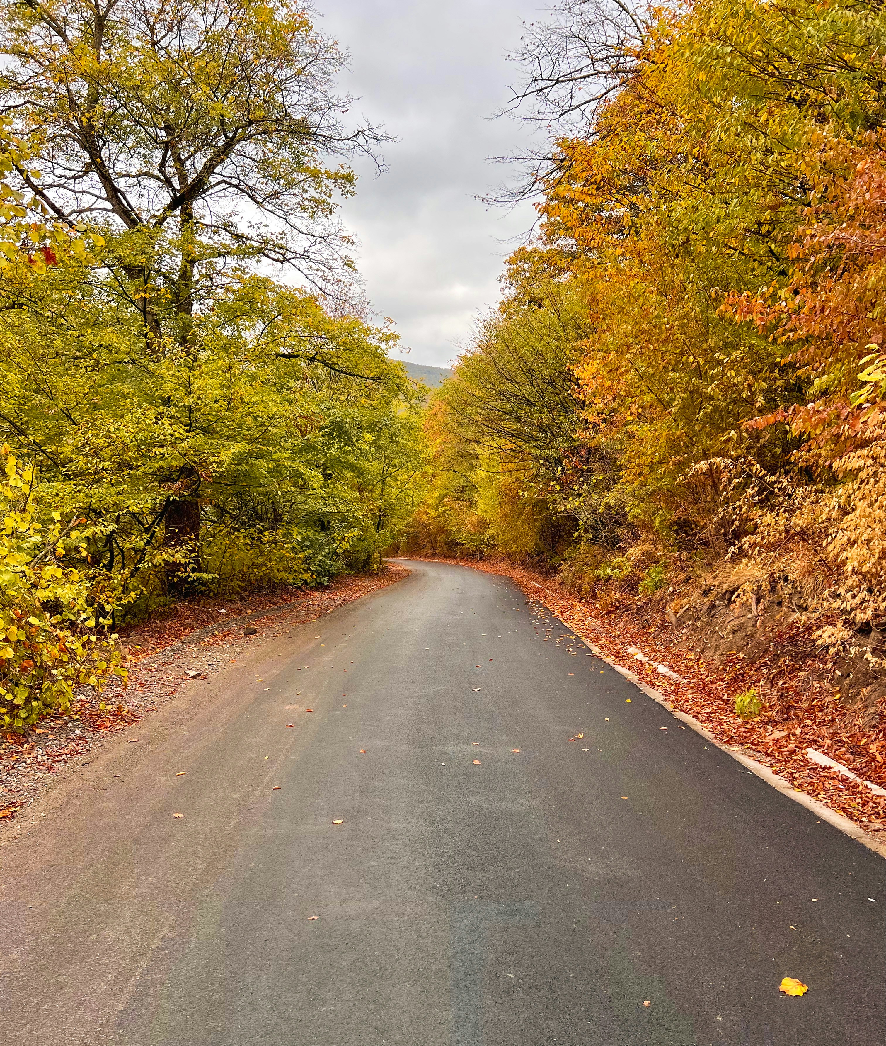 Photo by arslanbekova