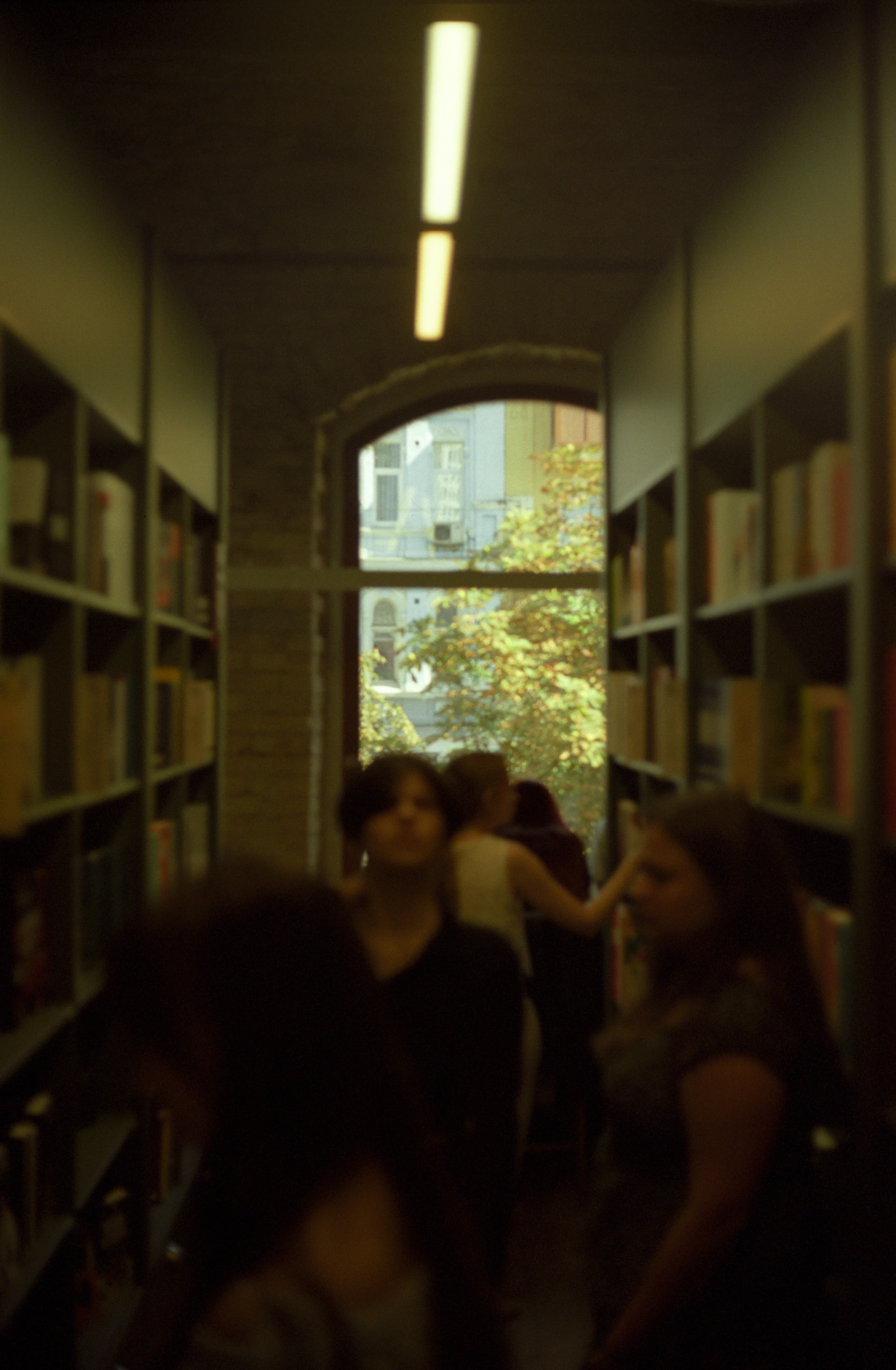 A cinematic shot capturing the terracotta-toned outdoor reading area with people immersed in books under dappled sunlight.