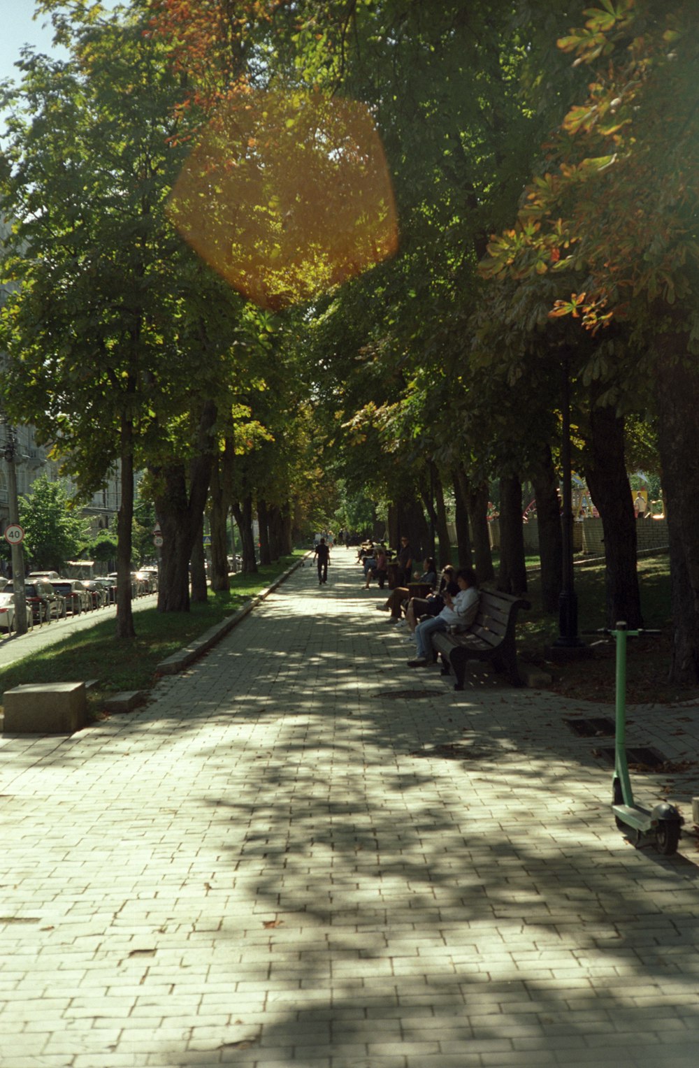 a group of people sitting on a bench under trees