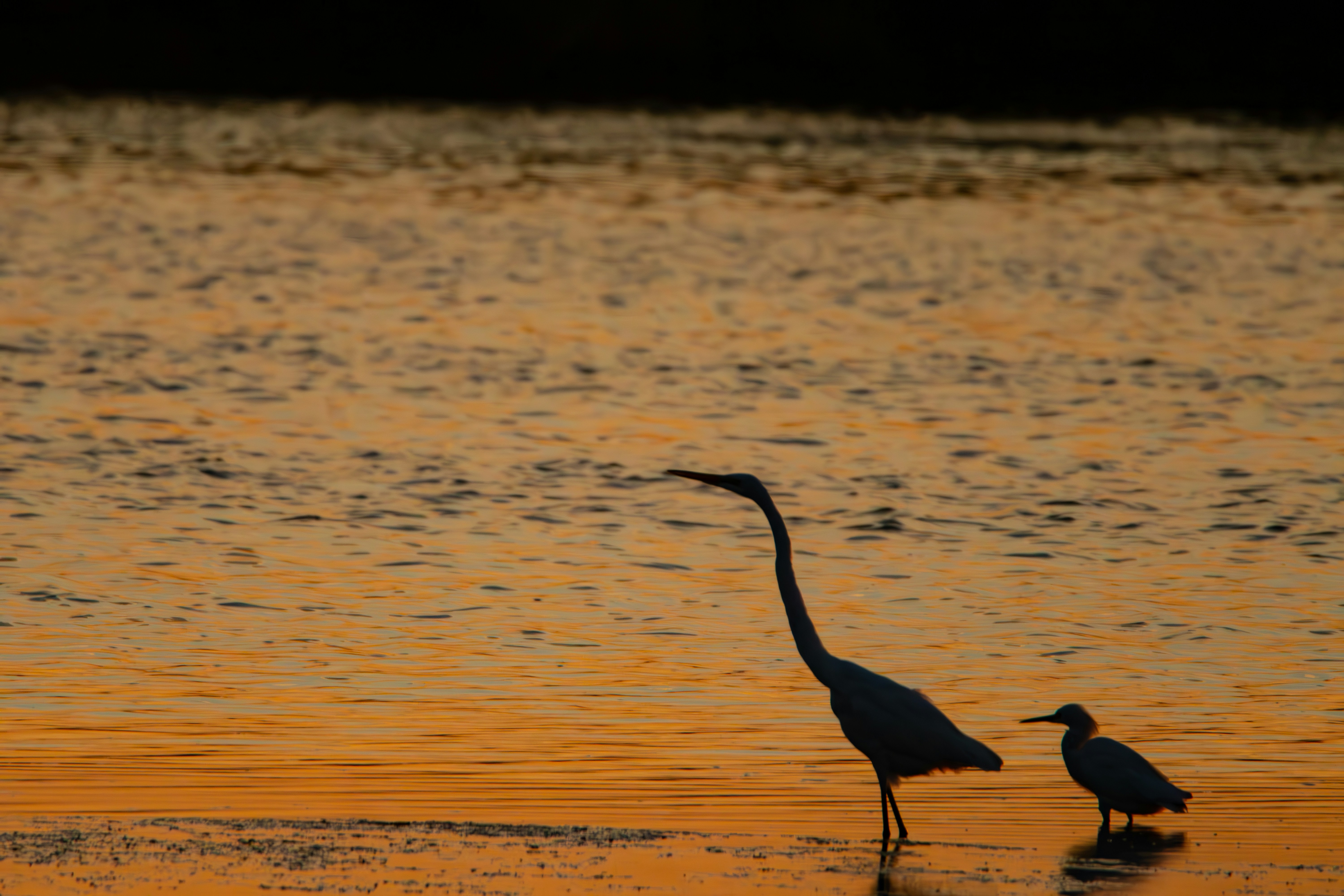 Photo by ucwhphotography