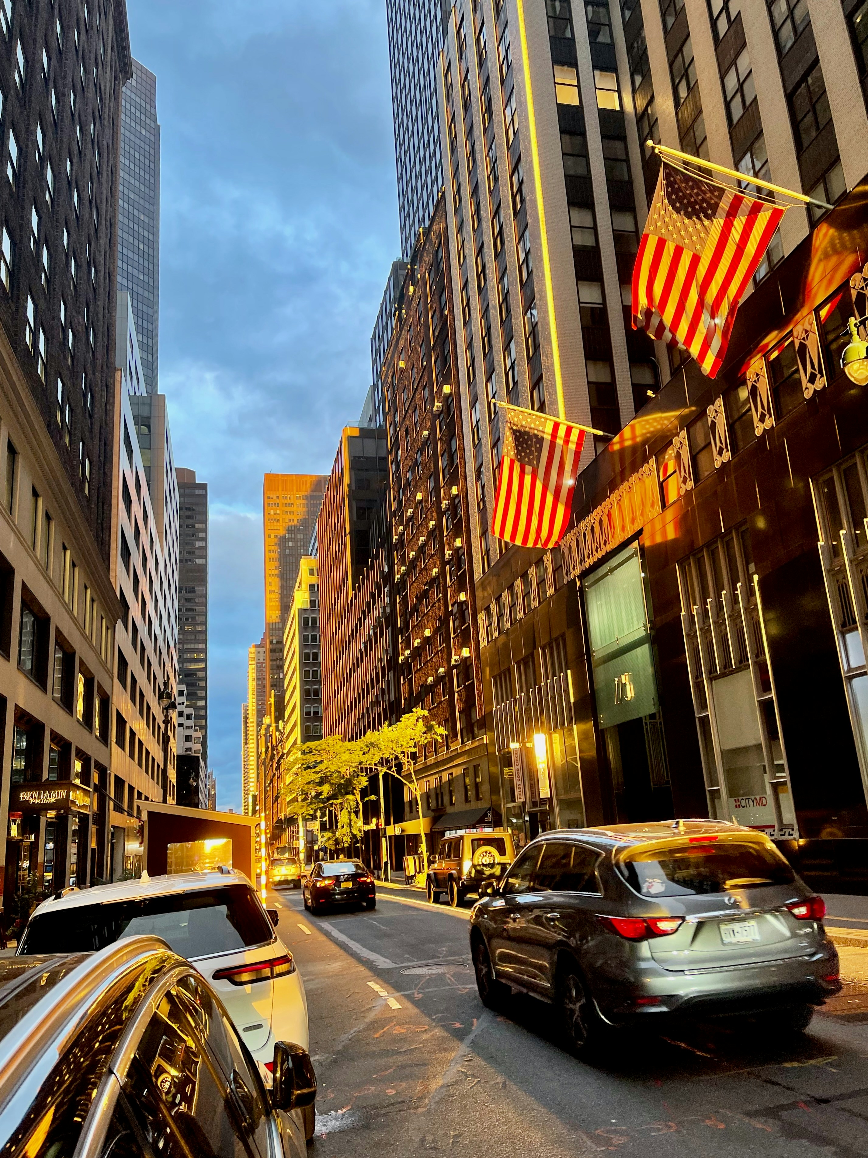 Photo by sveltevelvet