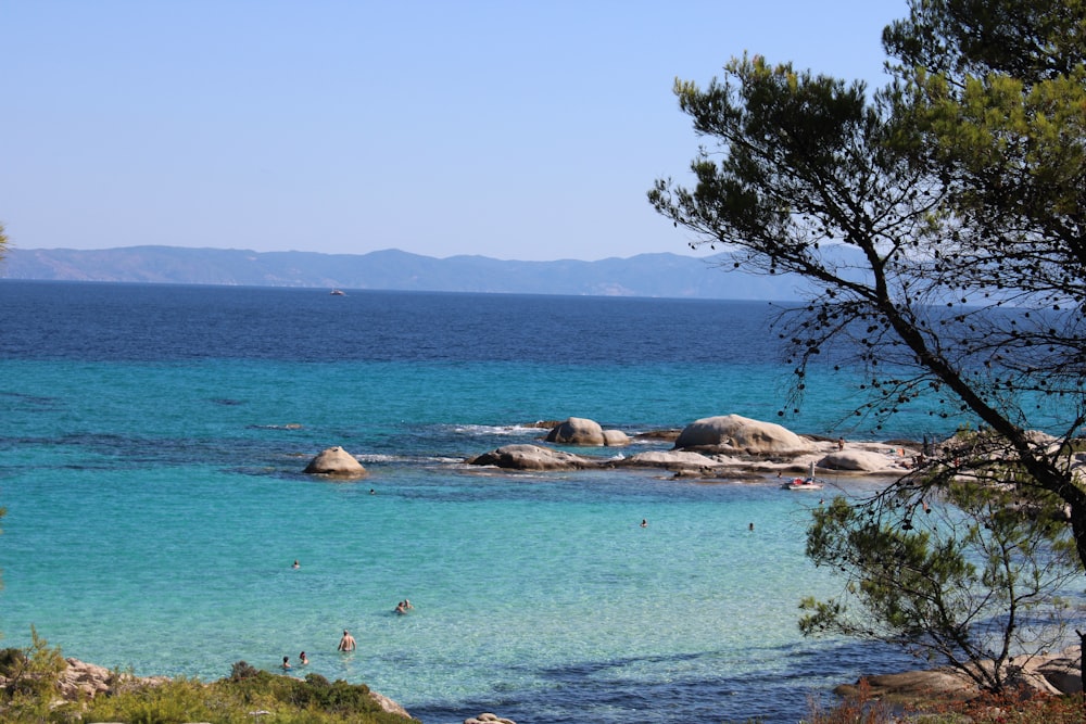 a body of water surrounded by rocks and trees