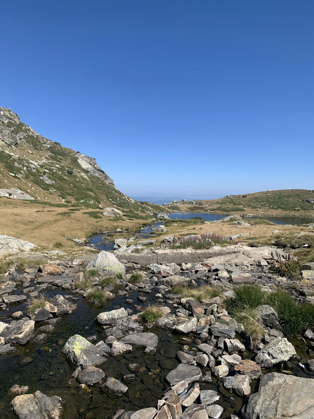 a view of a rocky river with a mountain in the background