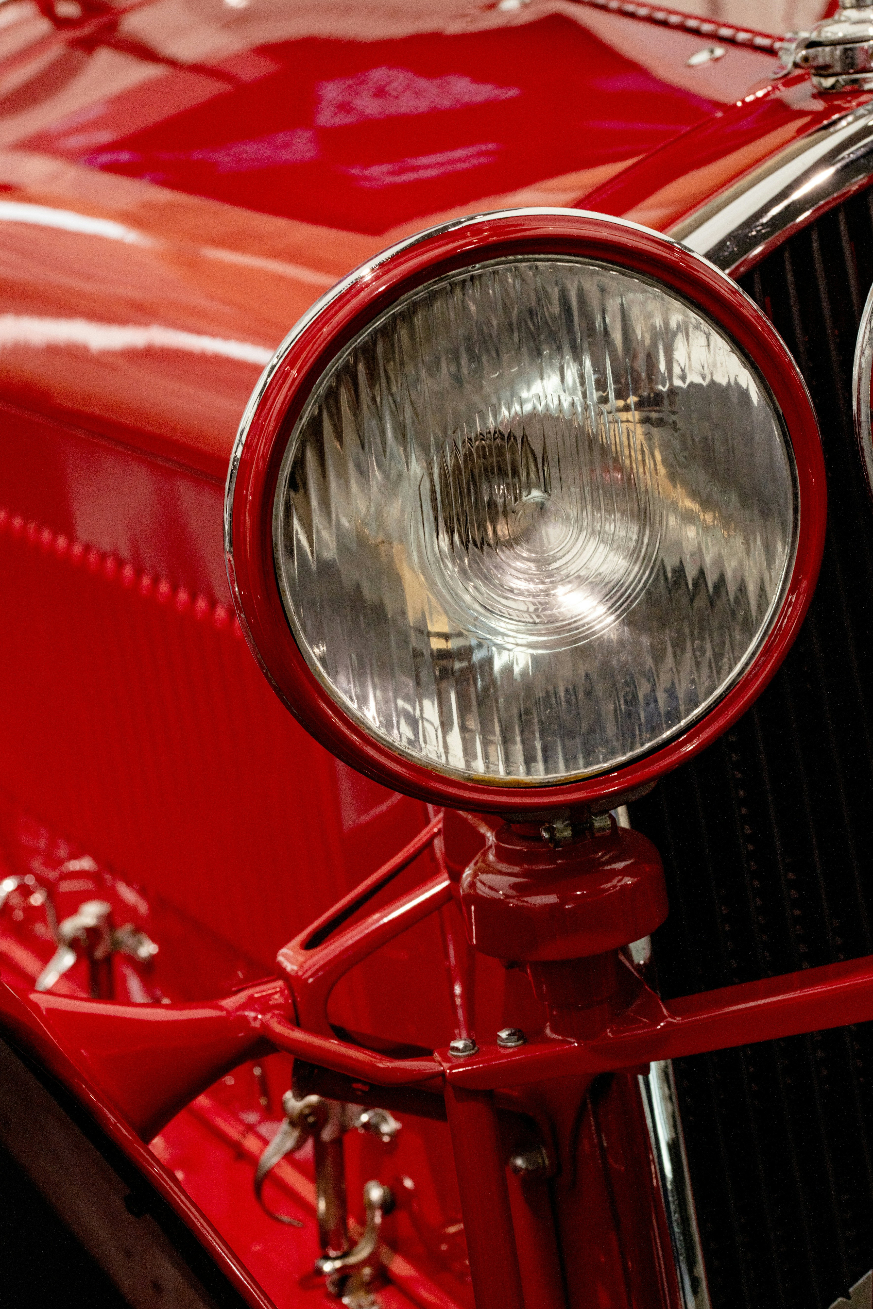 Photo by lauraadaiphoto