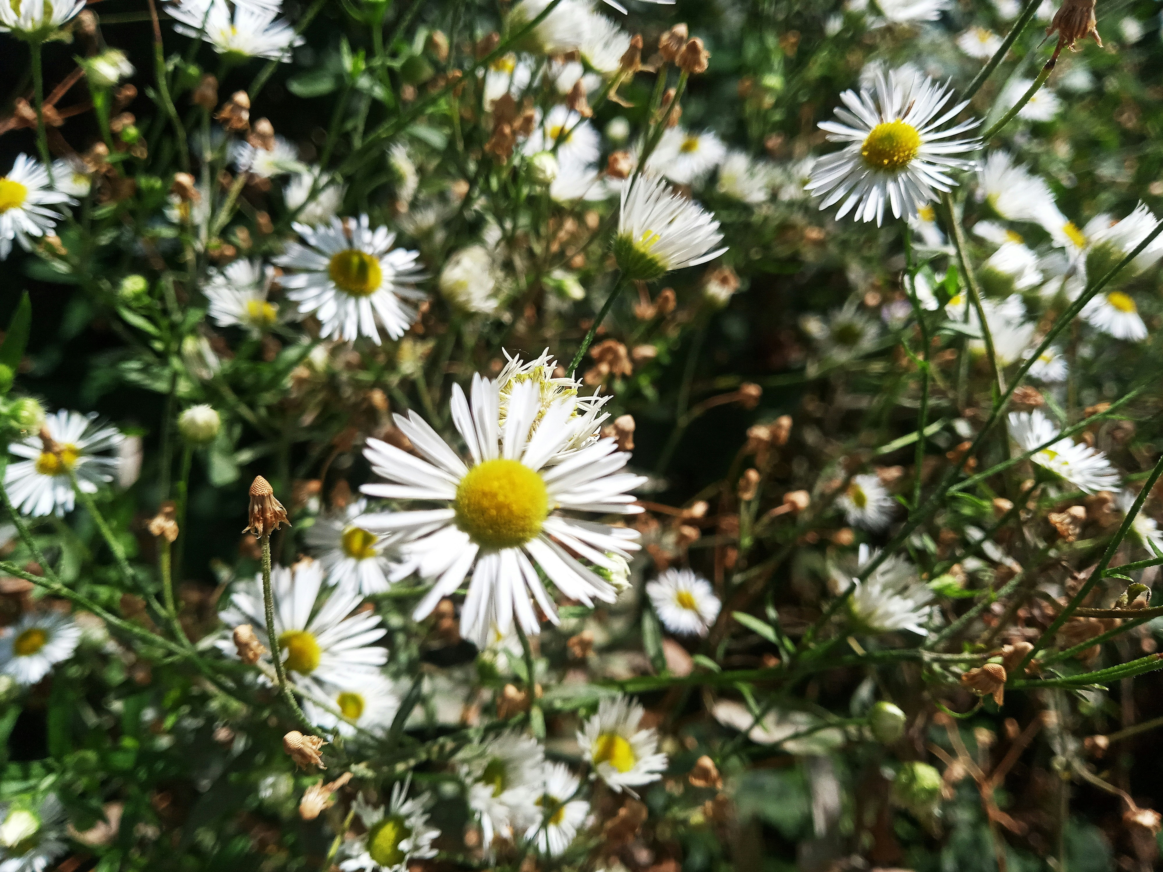 Photo by dmitry_burdakov