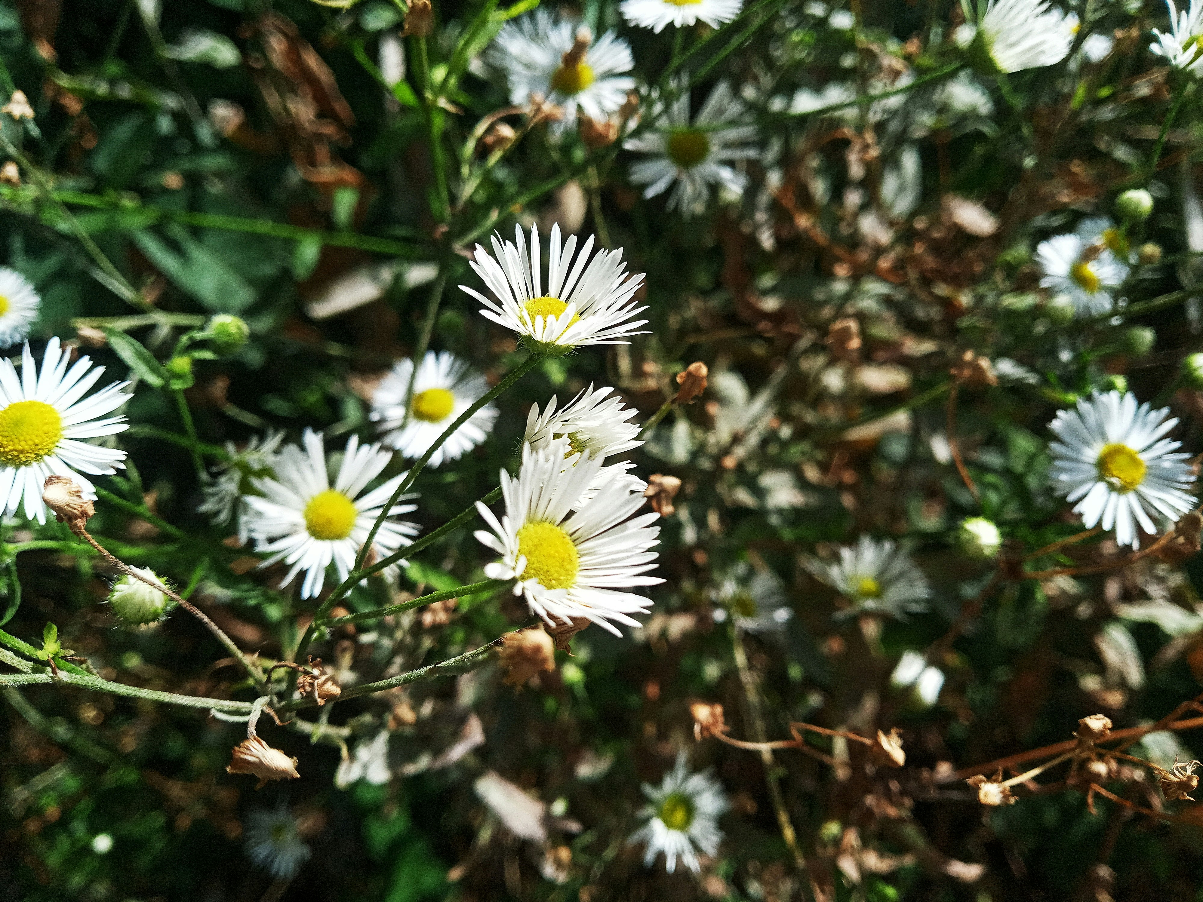 Photo by dmitry_burdakov