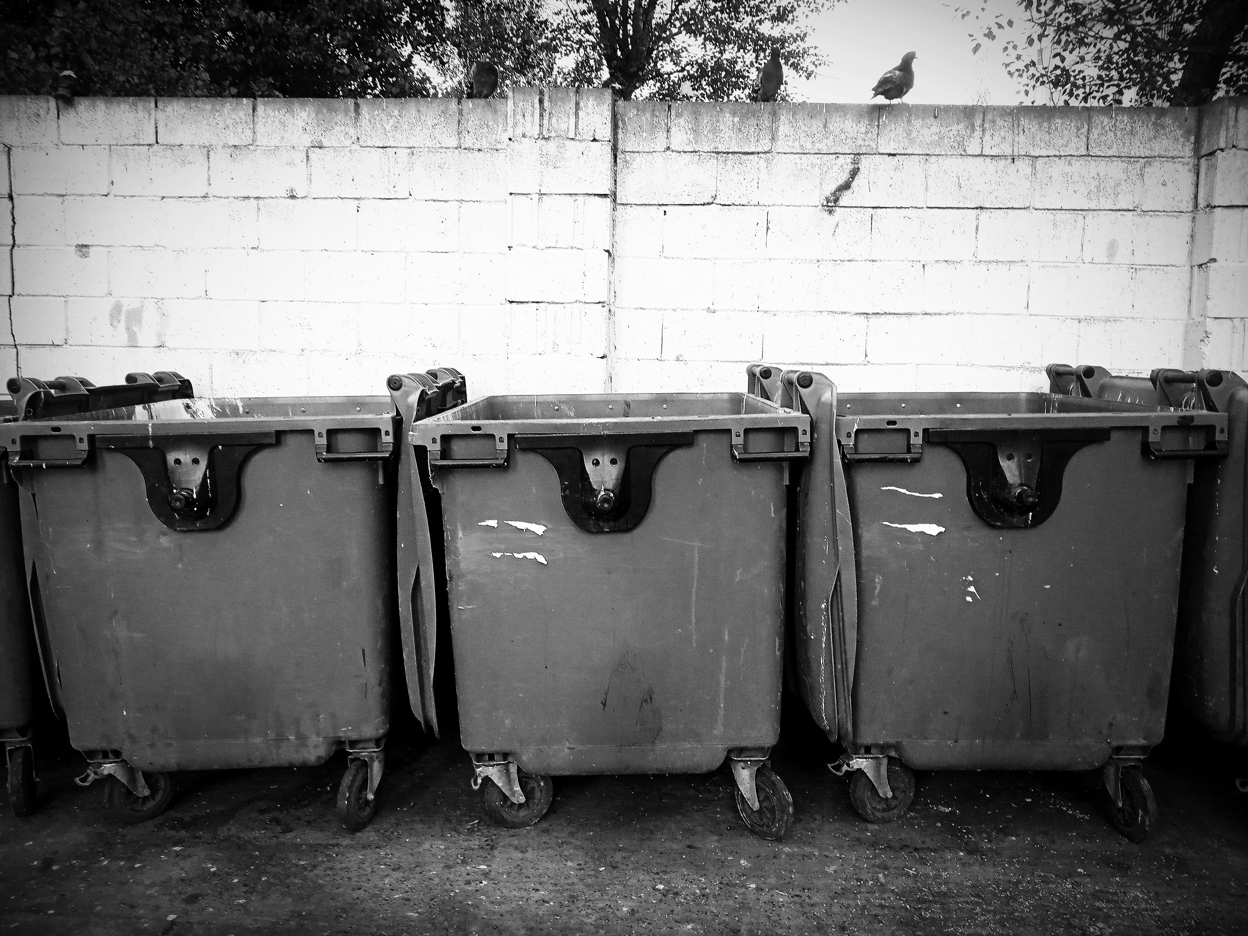 a black and white photo of a row of trash cans