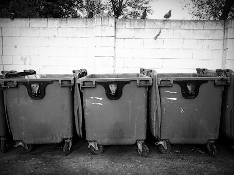 a black and white photo of a row of trash cans