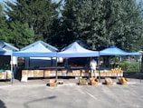 An outdoor market stall under blue canopies displays an assortment of fresh fruits and vegetables. The produce is arranged in wooden boxes on tables and on the ground, including watermelons, squash, and various other vegetables. Two people are present, engaged in selecting or purchasing items. Behind the stall, lush green trees create a natural background.