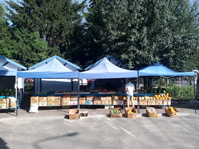 An outdoor market stall under blue canopies displays an assortment of fresh fruits and vegetables. The produce is arranged in wooden boxes on tables and on the ground, including watermelons, squash, and various other vegetables. Two people are present, engaged in selecting or purchasing items. Behind the stall, lush green trees create a natural background.