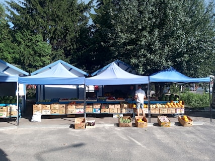 An outdoor market stall under blue canopies displays an assortment of fresh fruits and vegetables. The produce is arranged in wooden boxes on tables and on the ground, including watermelons, squash, and various other vegetables. Two people are present, engaged in selecting or purchasing items. Behind the stall, lush green trees create a natural background.