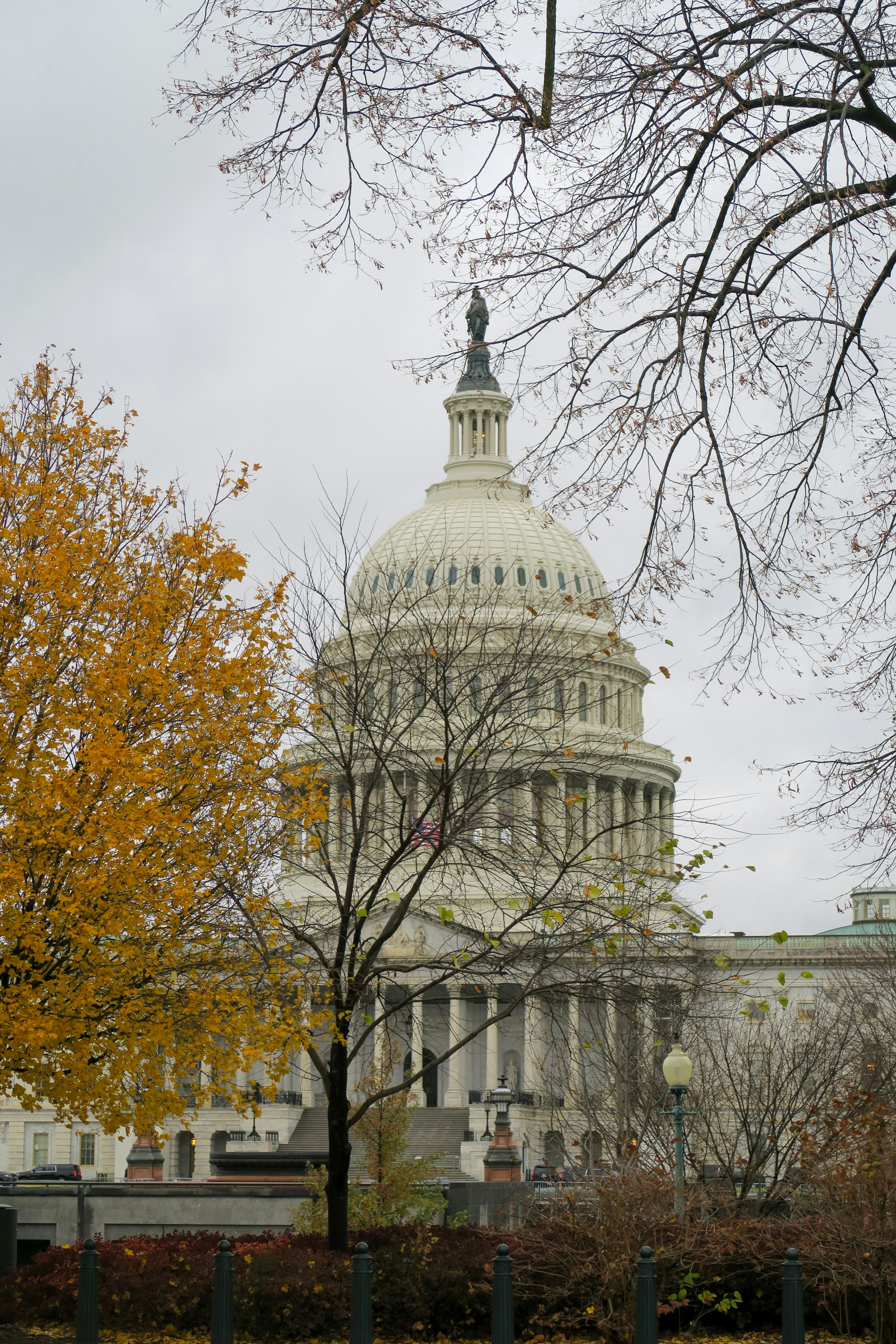 a view of the capitol building from across the street