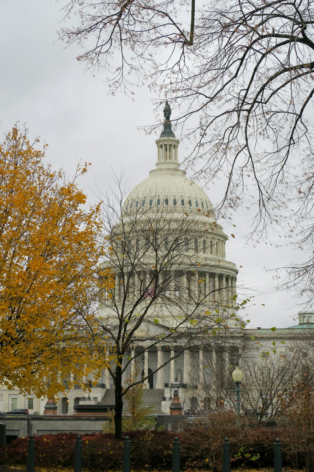 a view of the capitol building from across the street