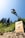 A mountain biker is performing a high jump off a ramp in an outdoor setting. The biker is captured mid-air against a backdrop of tall trees and a clear blue sky. A wooden ramp with signage, possibly indicating a bike park or event, is visible in the image.