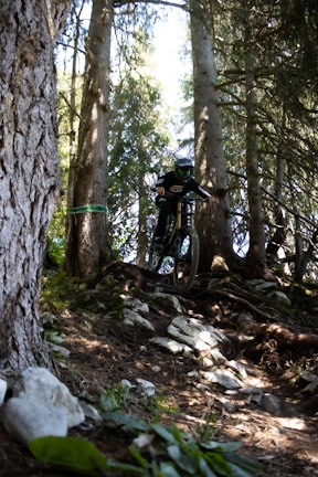 A mountain biker navigates a rugged downhill trail surrounded by tall trees and dappled sunlight filtering through the forest canopy. The rider is wearing protective gear, including a helmet, as they skillfully maneuver over rocks and roots.