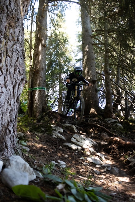 A mountain biker navigating a rugged, rocky descent surrounded by dense Missouri forest.