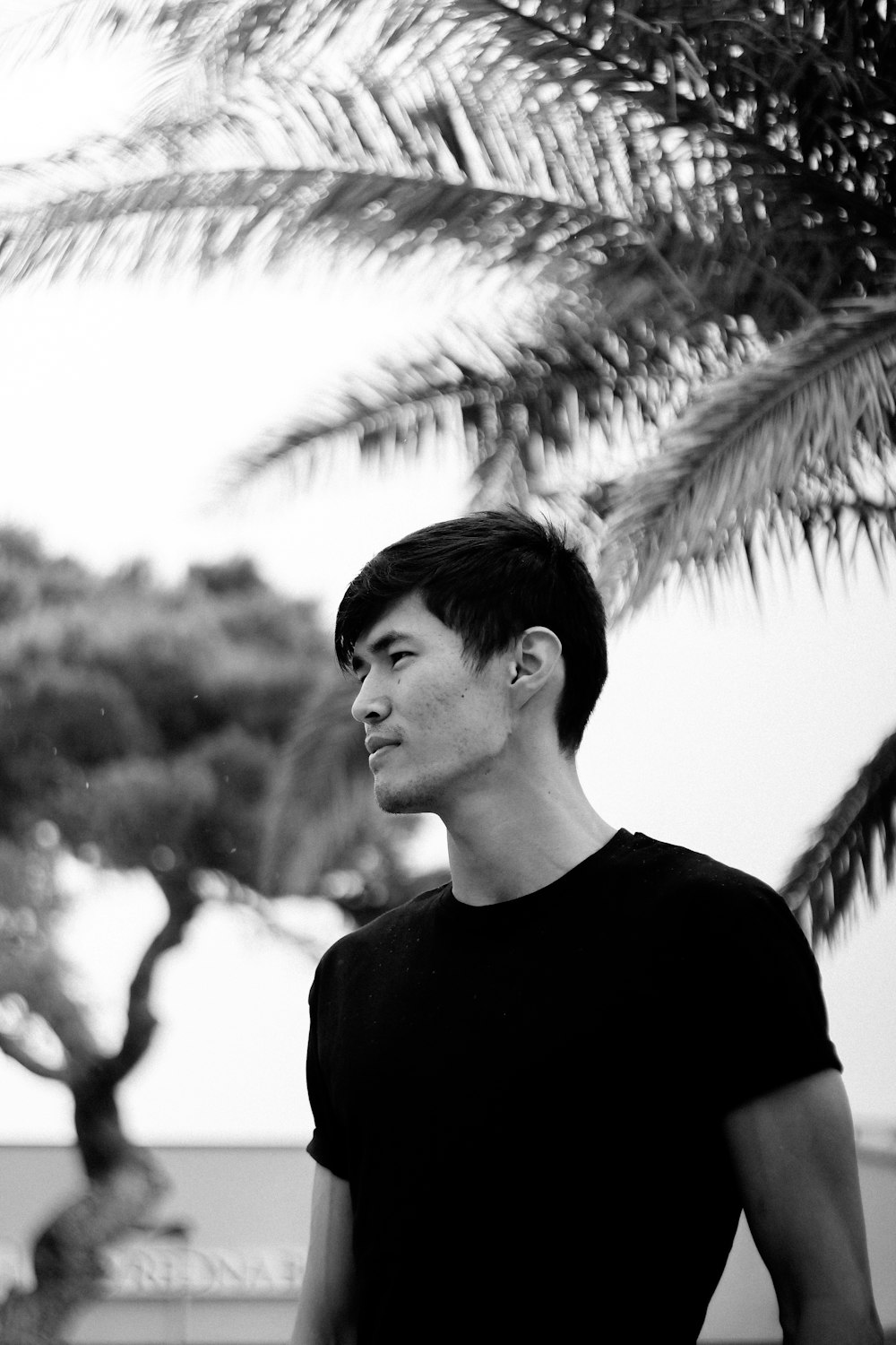 a young man standing under a palm tree