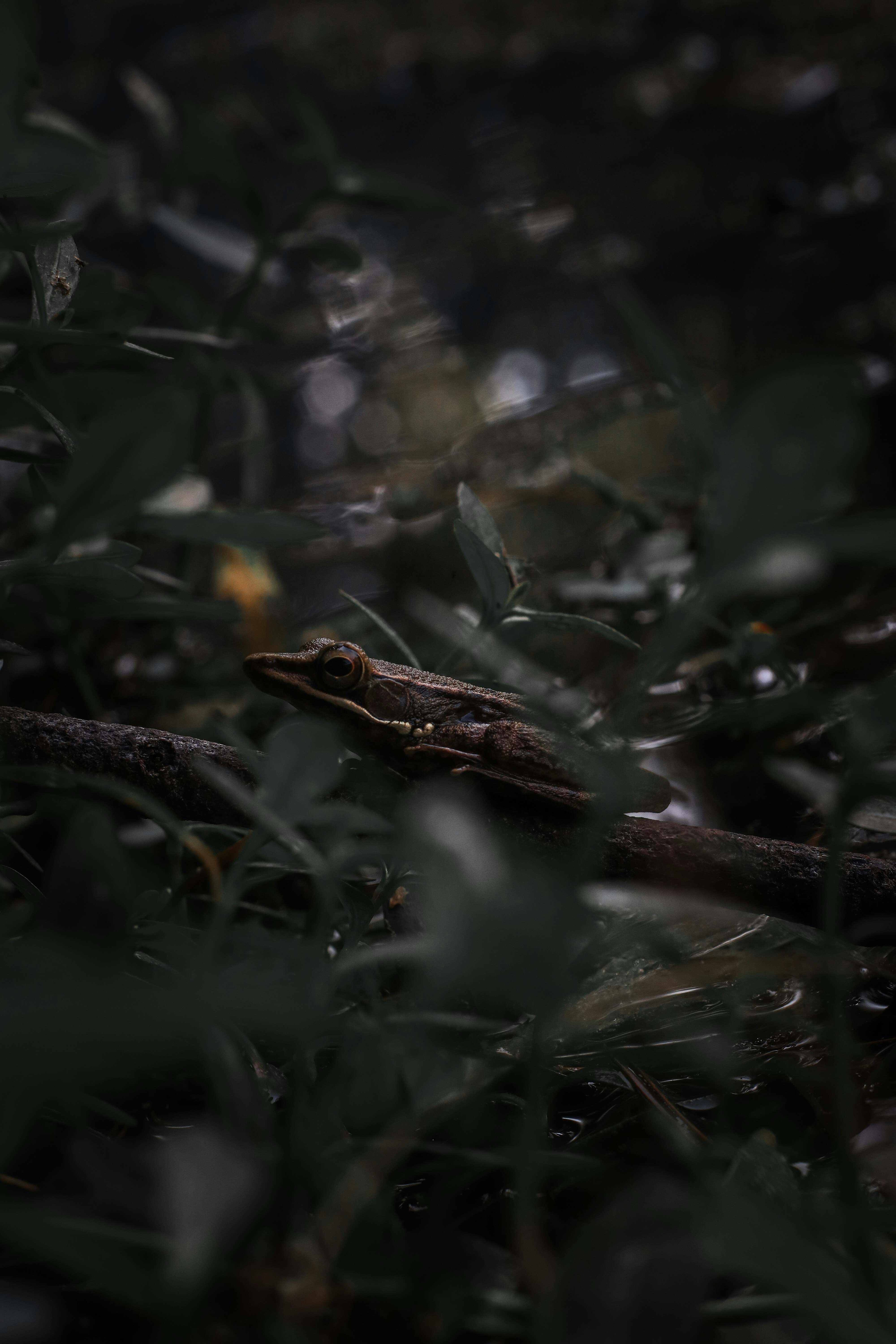 Photo by kemal03