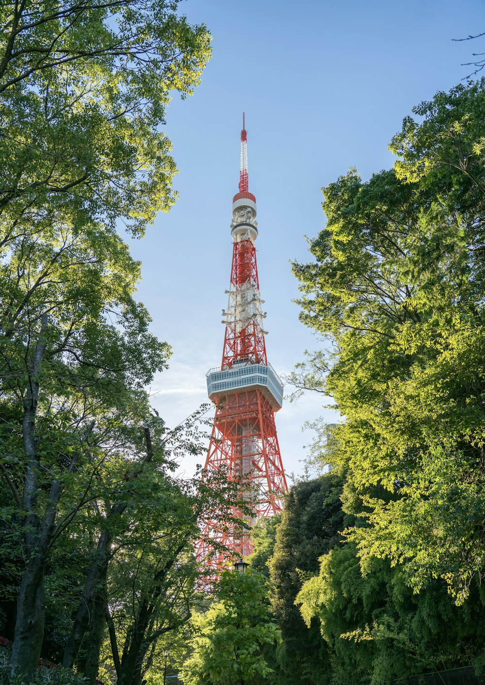 the eiffel tower is surrounded by trees