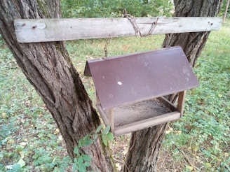 A wooden bird feeder hangs suspended between two large tree trunks, supported by a metal chain. The feeder features a simple rectangular shape with a pitched roof, and the surrounding area is lush with greenery, indicating a forest or garden setting.