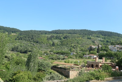 A lush, green landscape featuring dense forests covering hillsides with a few scattered houses in traditional architecture. In the foreground, a rustic building with arched windows and terracotta roofs is surrounded by an array of trees and shrubs.