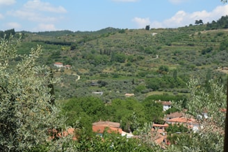 A vast green finca with rolling hills under a bright blue sky.
