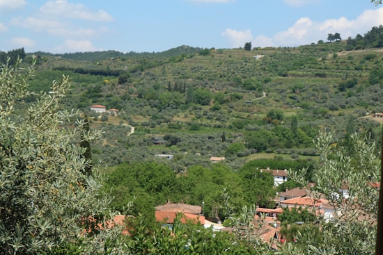 A lush, verdant landscape with rolling hills covered in dense greenery and scattered houses with red-tiled roofs. Olive trees and other vegetation dominate the foreground, while a few dirt paths meander through the countryside. The sky is clear with a few scattered clouds.