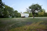 A large white trailer is parked on a grassy field surrounded by dense green trees. A solitary tree with a thick trunk and lush foliage stands nearby. The sky is clear with a hint of clouds.