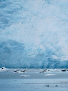 A vast expanse of icy terrain with a large glacier in the background. The foreground features a cold, bluish body of water dotted with small ice floes. Several seals are resting on the ice, and birds are flying nearby.