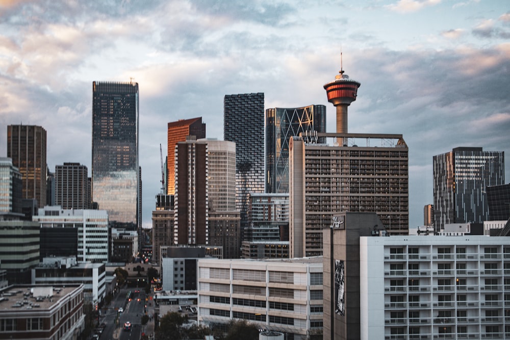 a view of a city with a lot of tall buildings