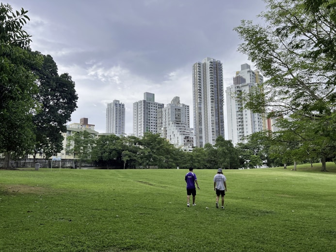 a couple of people standing on top of a lush green field