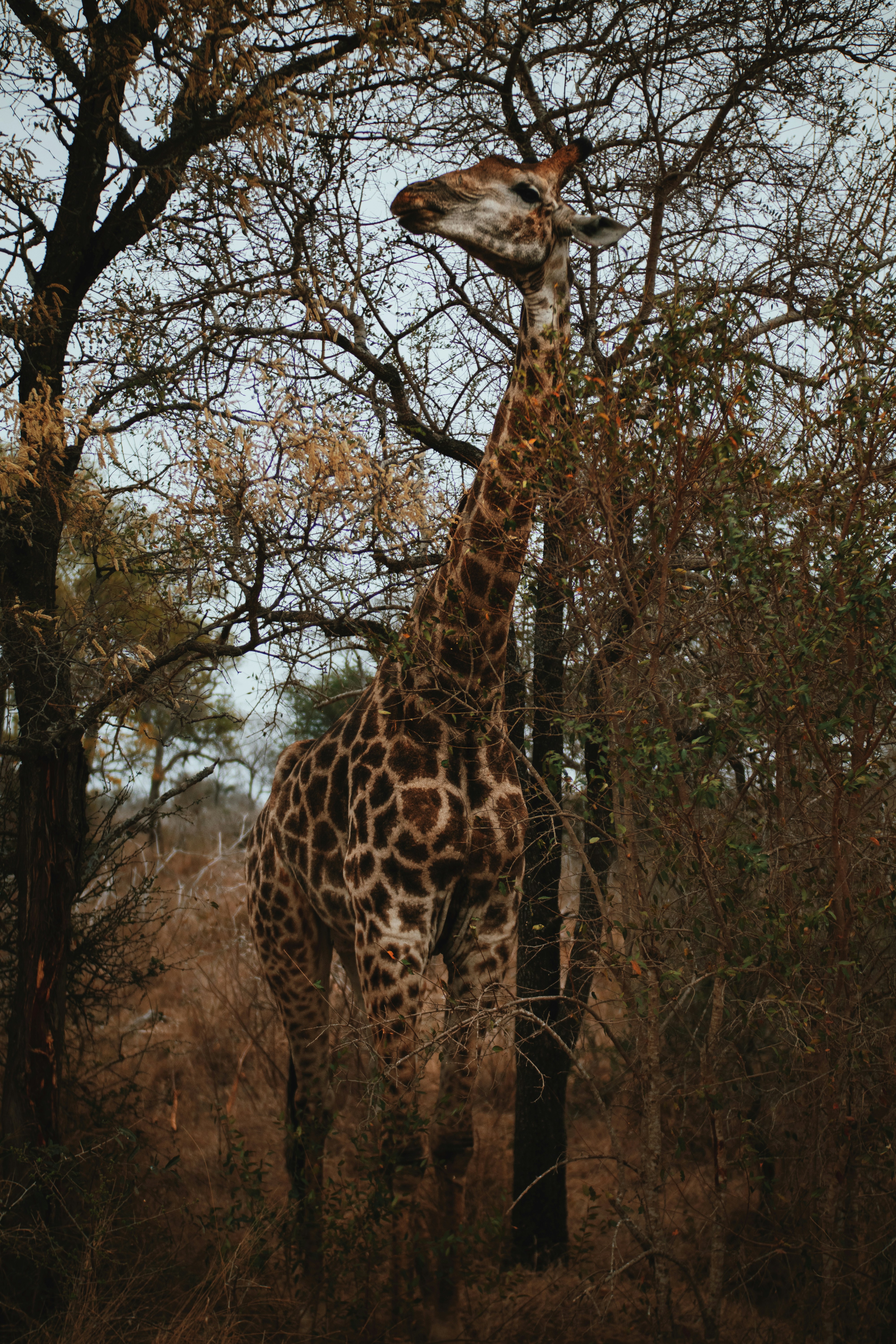 Photo by michaeljfali