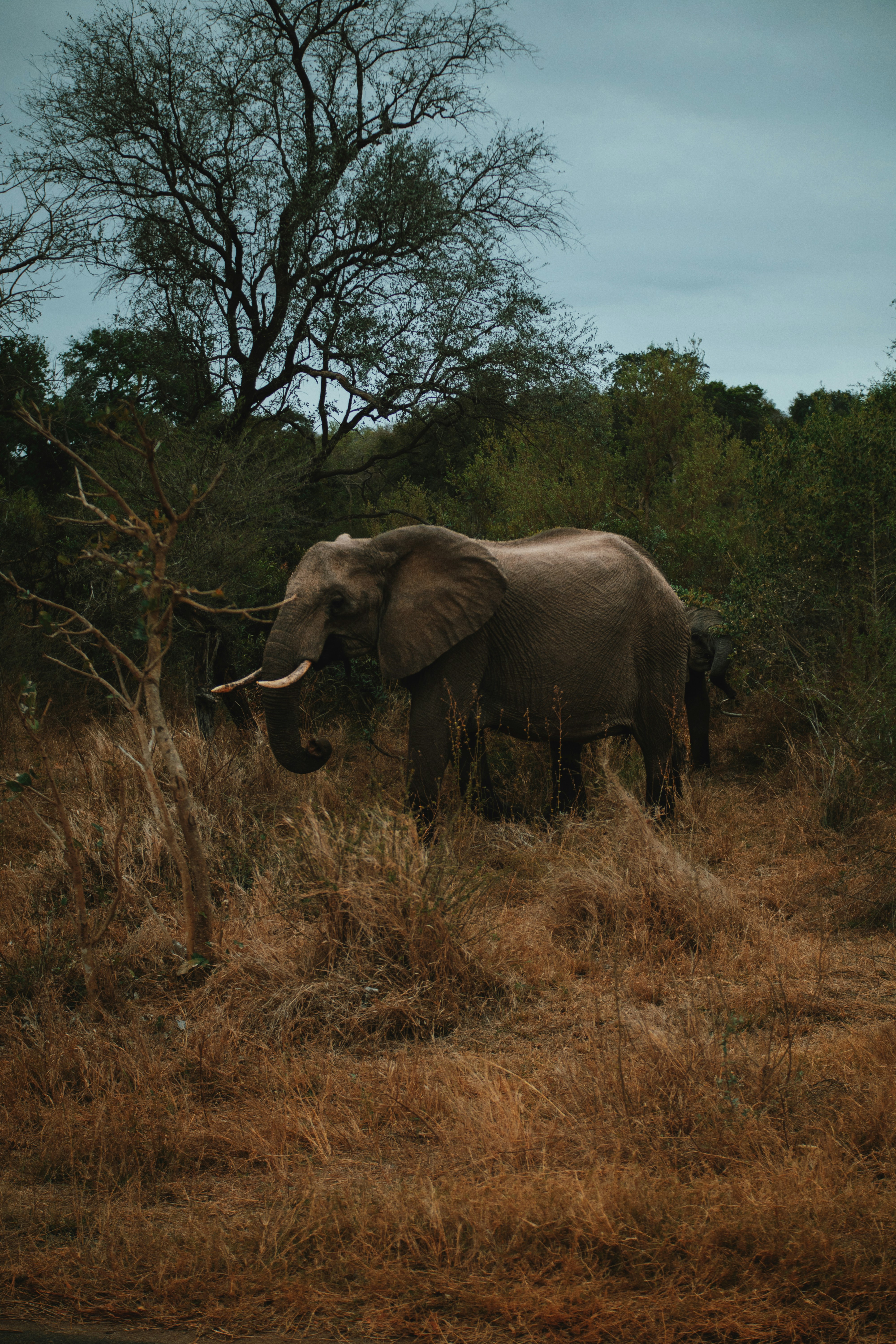 Photo by michaeljfali