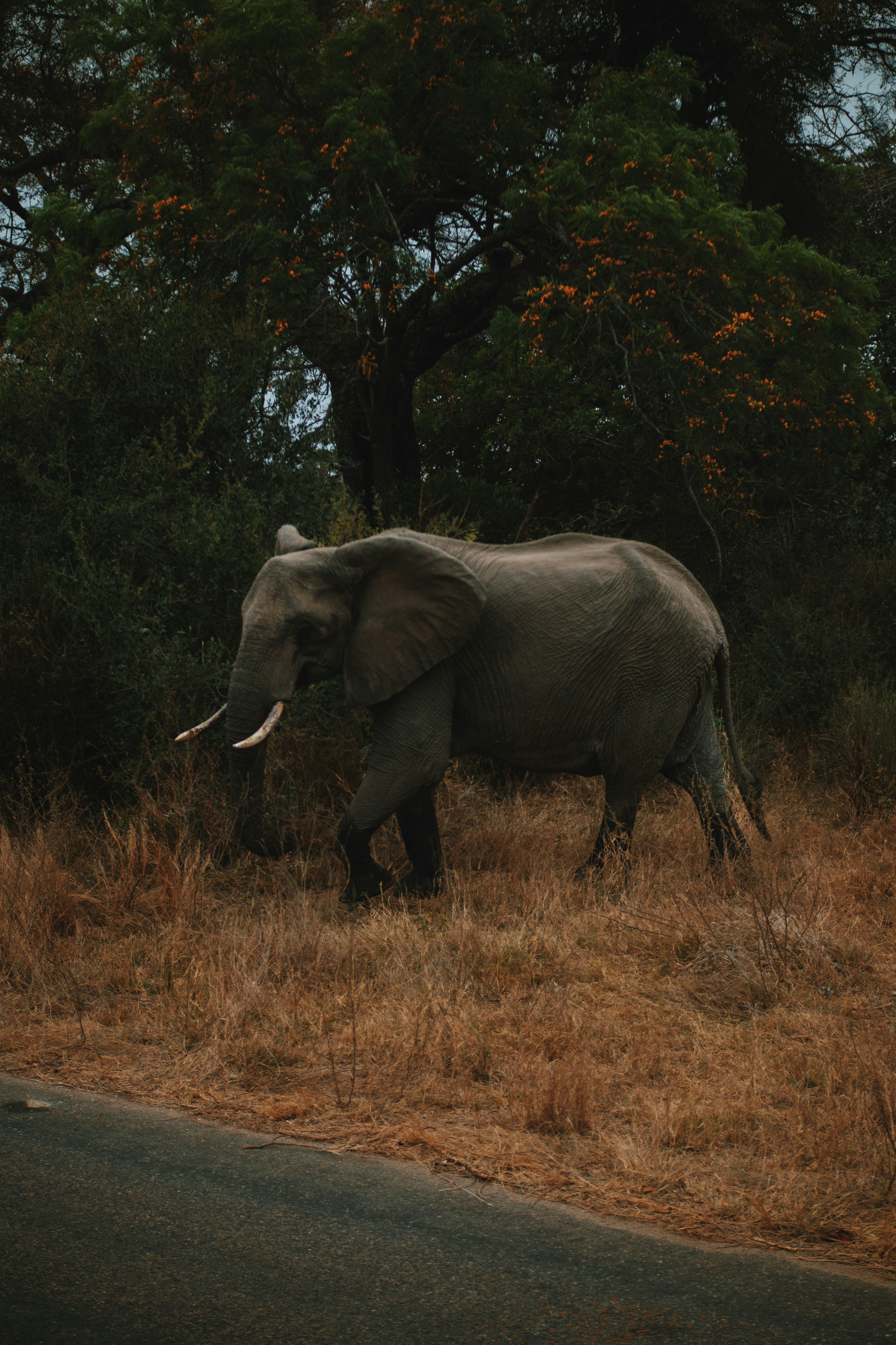 Photo by michaeljfali