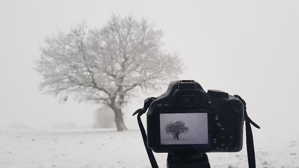 Una cámara que está sentada en la nieve
