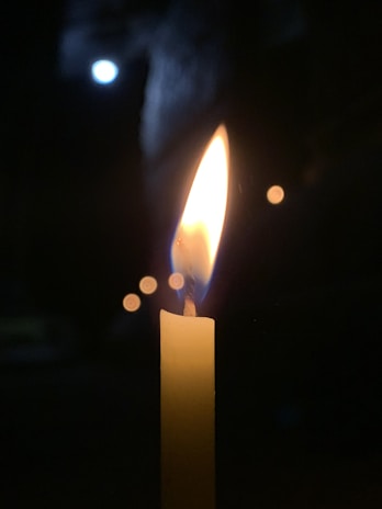 A softly glowing candle surrounded by moonlit shadows and natural elements.